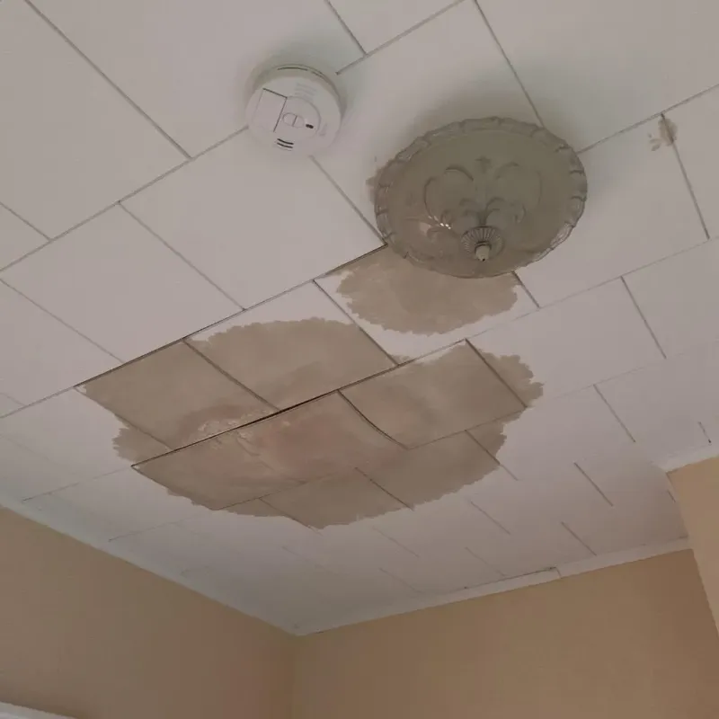 Ceiling Water Damage Repair in Orange County, NC
