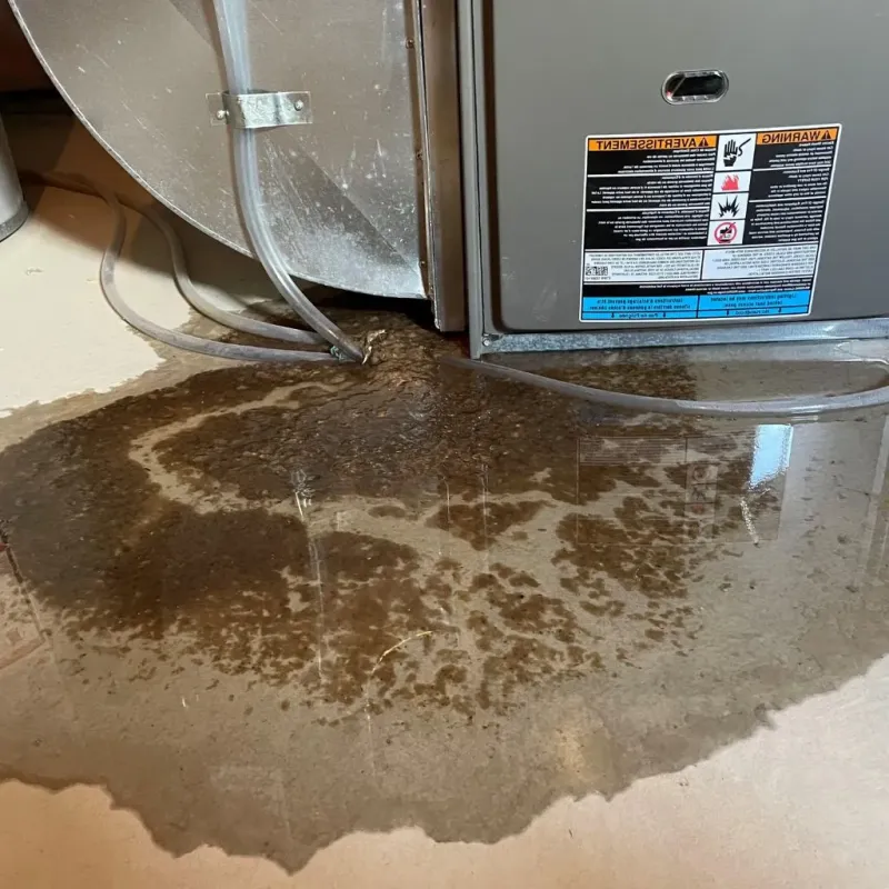 Pipe Burst and Leak Restoration in Orange County, NC