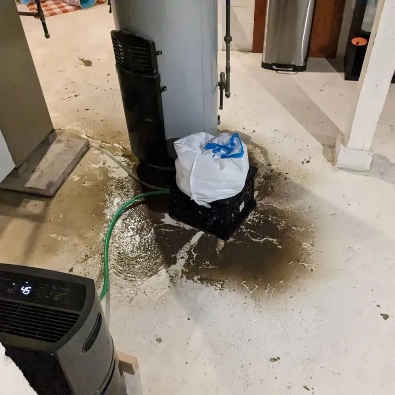 Sewage Backup Cleanup Service in Orange County, NC